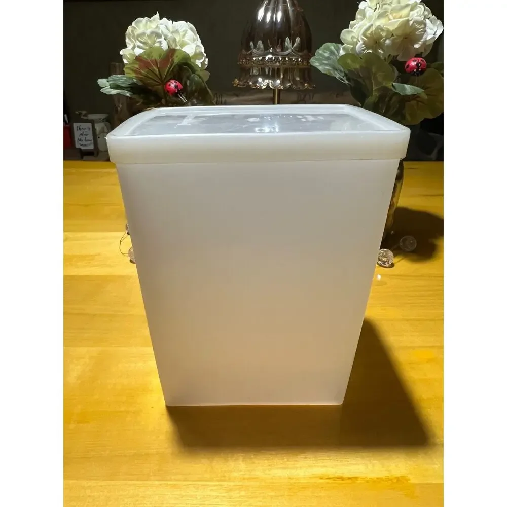 Tupperware Ice Cream Keeper